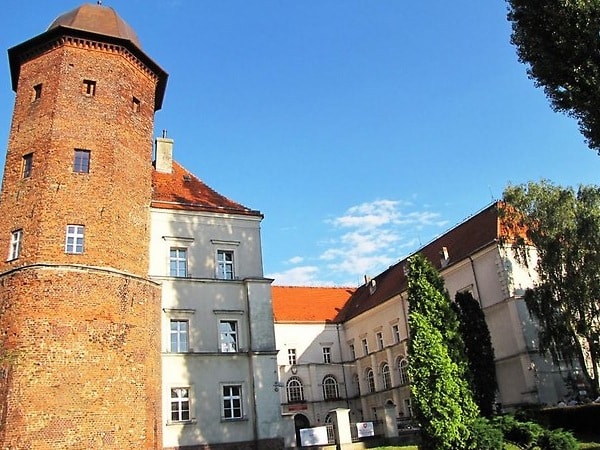 Castle Koźmin