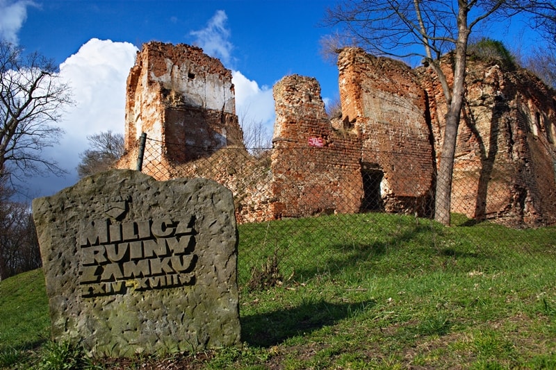Castle in Milicz