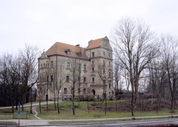 Castle in Płoty