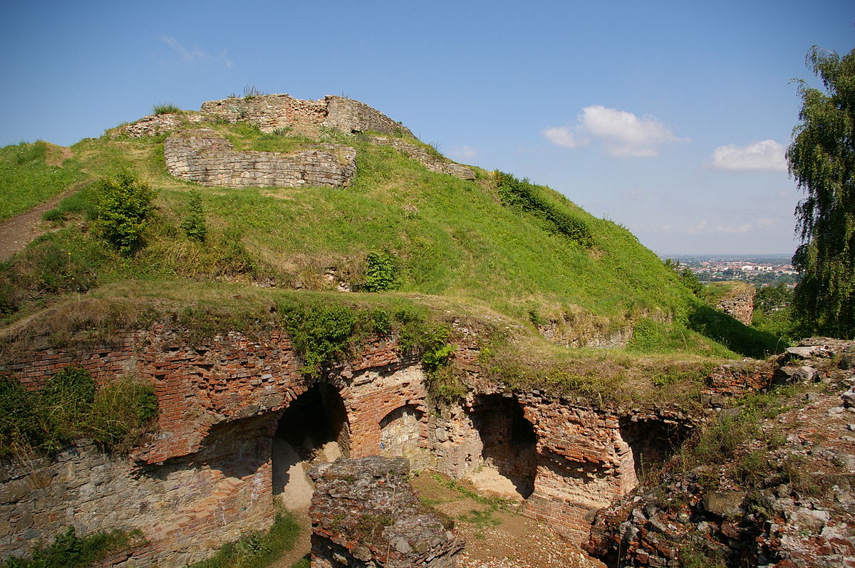 Castle in Tarnow