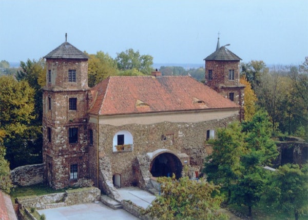 Castle in Toszka