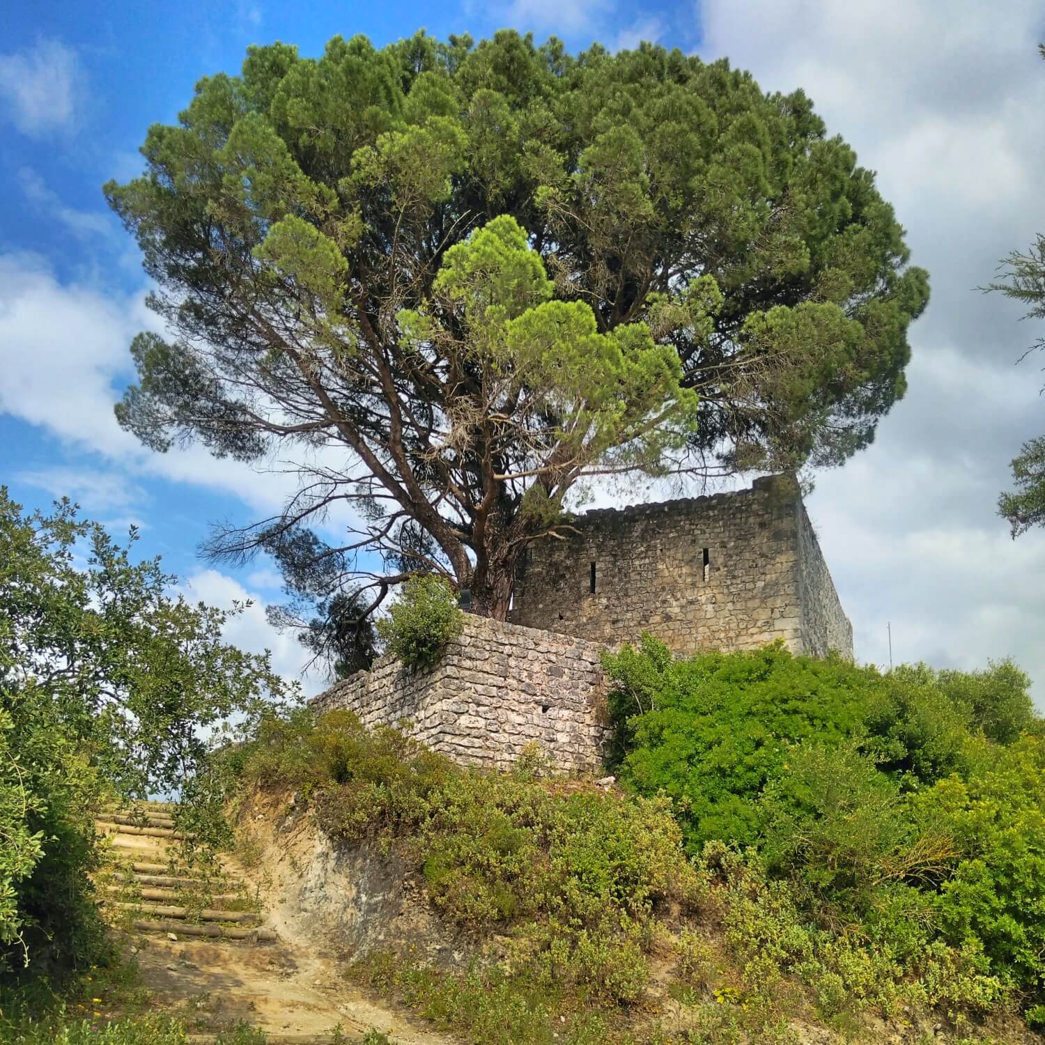 Castle of Alcanede