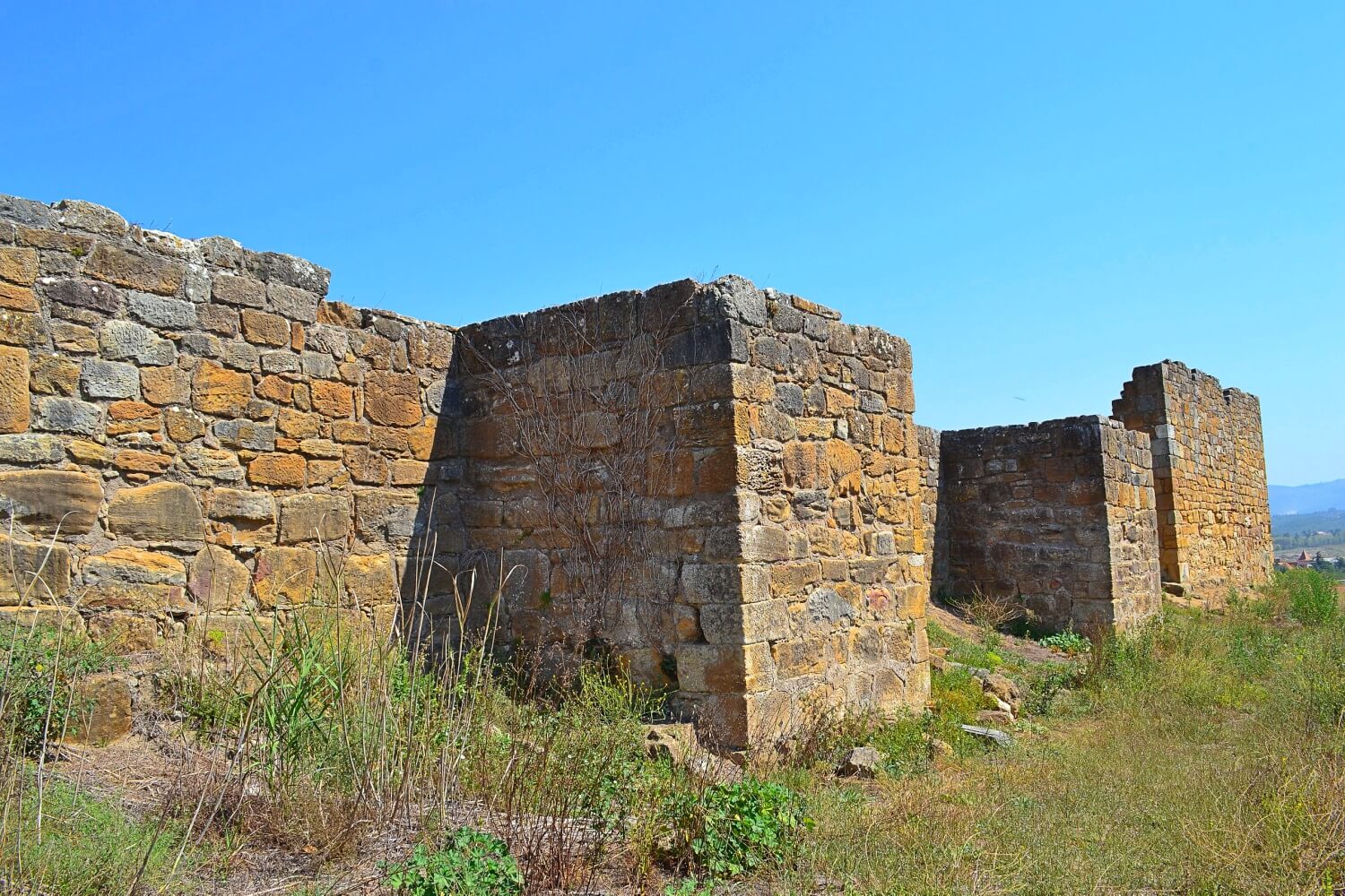 Castle of Alcobaça