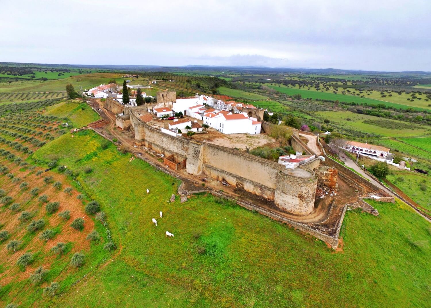 Castle of Ouguela