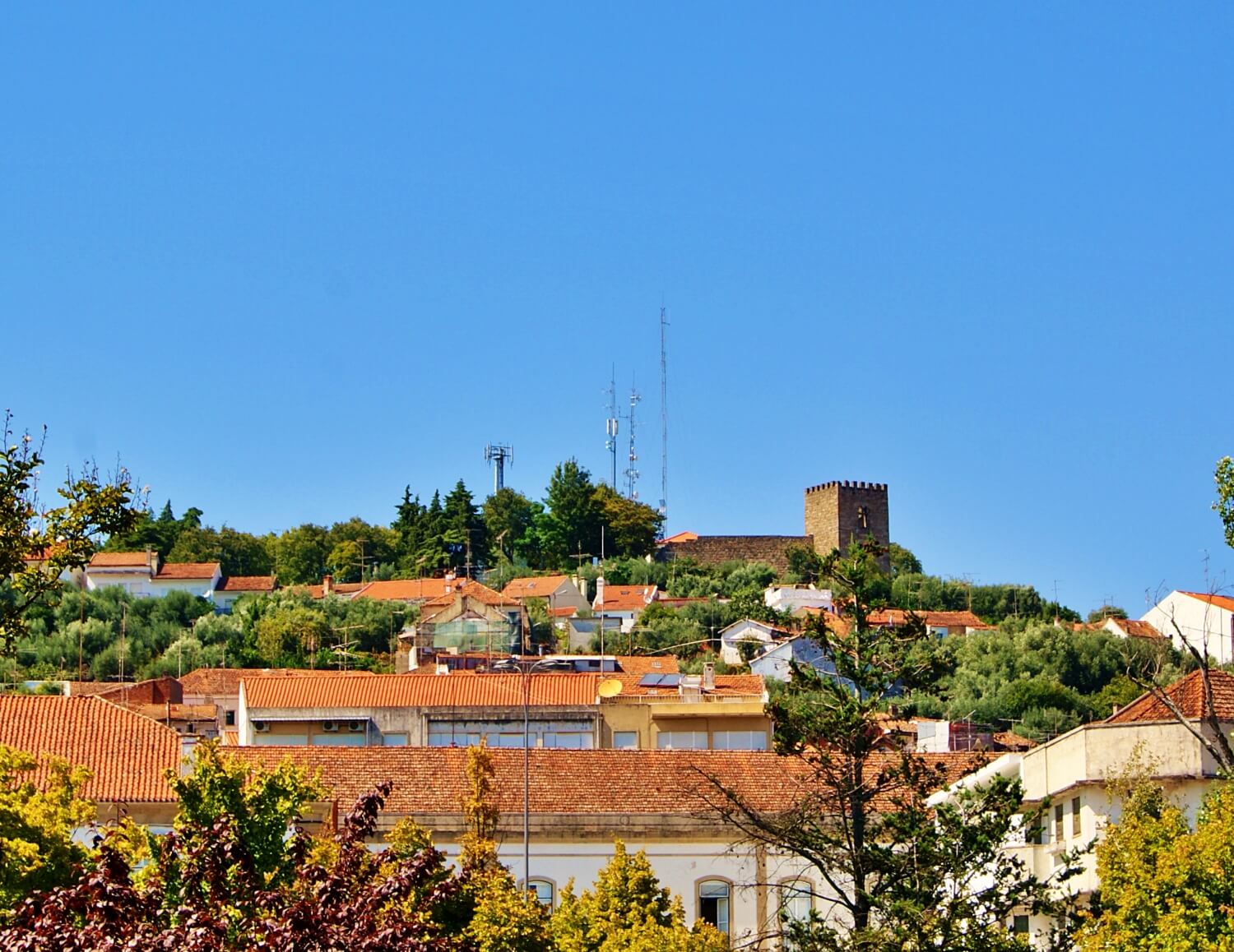 Castle of Castelo Branco