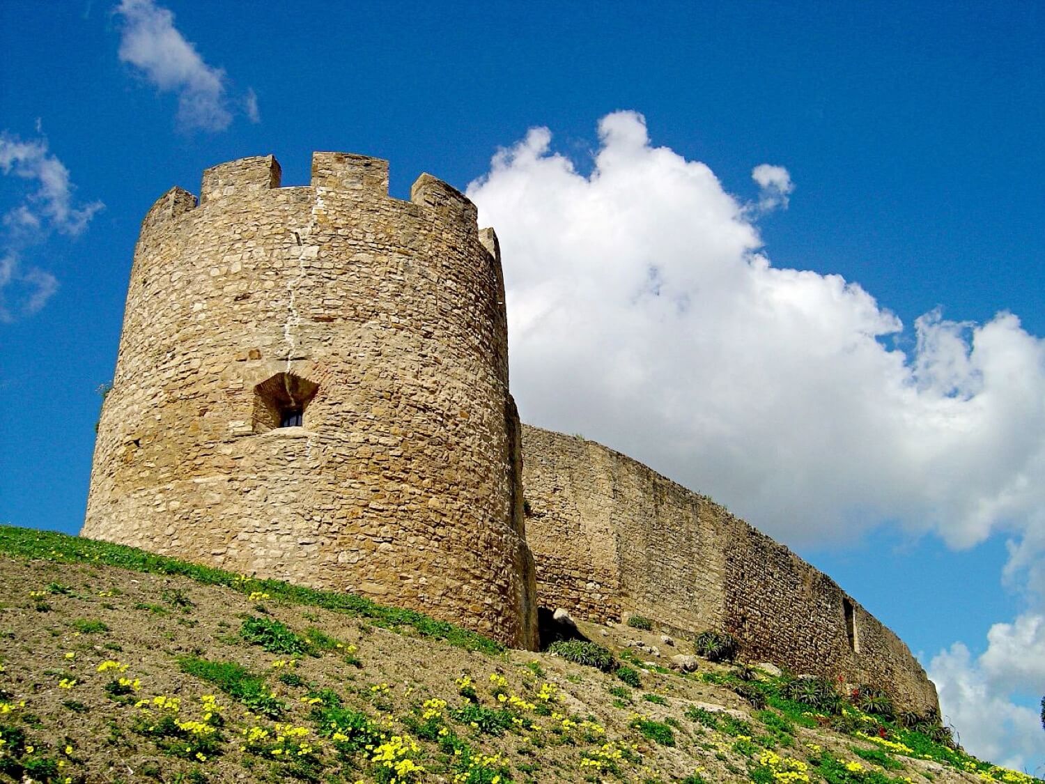 Castelo de Torres Vedras