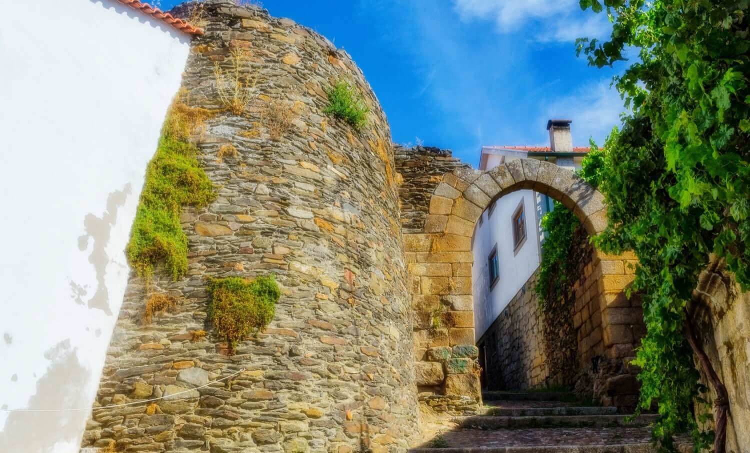 Castelo de Vila Flor