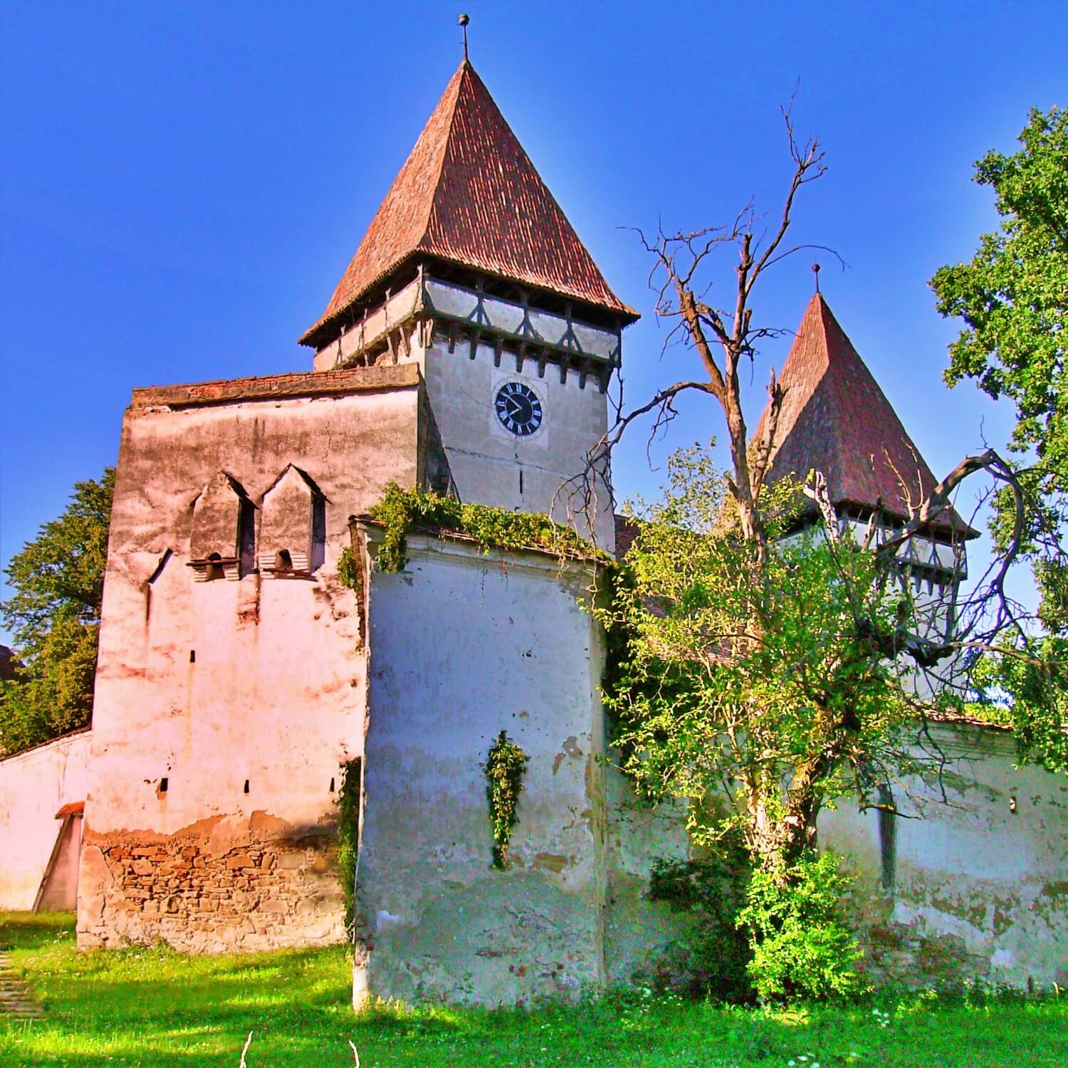 Dealu Frumos fortified church