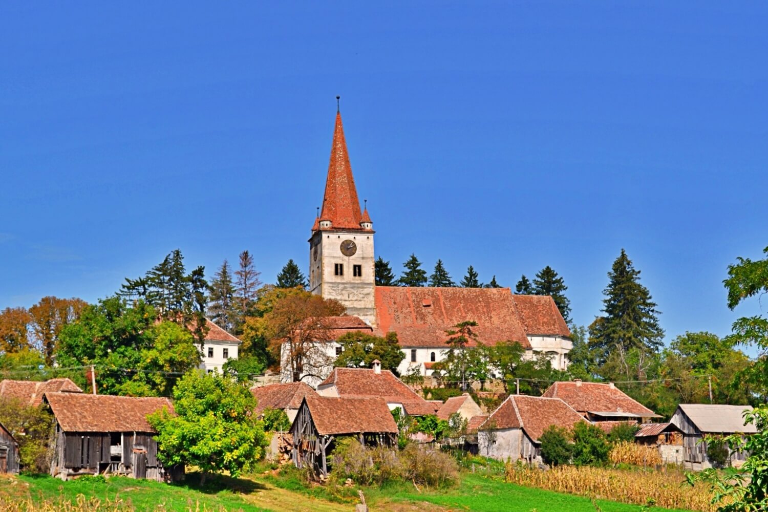 Fortified Church of Cincu