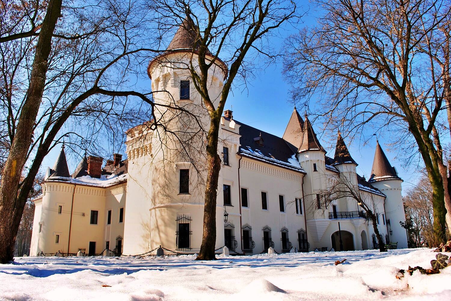 Károlyi Castle in Carei