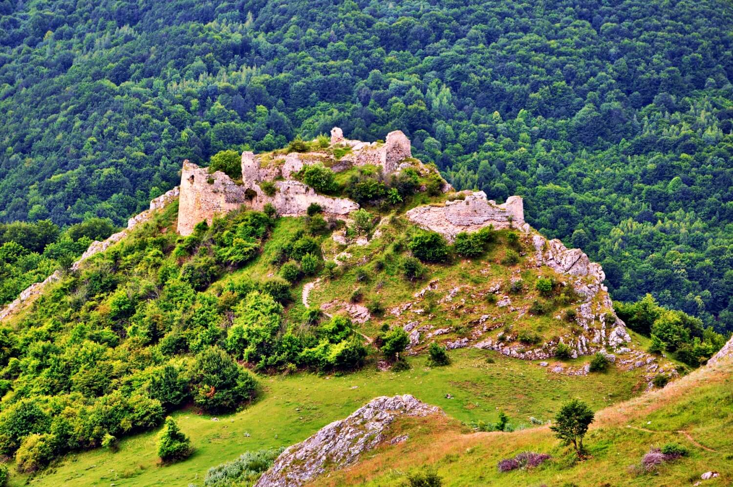 Liteni Fortress