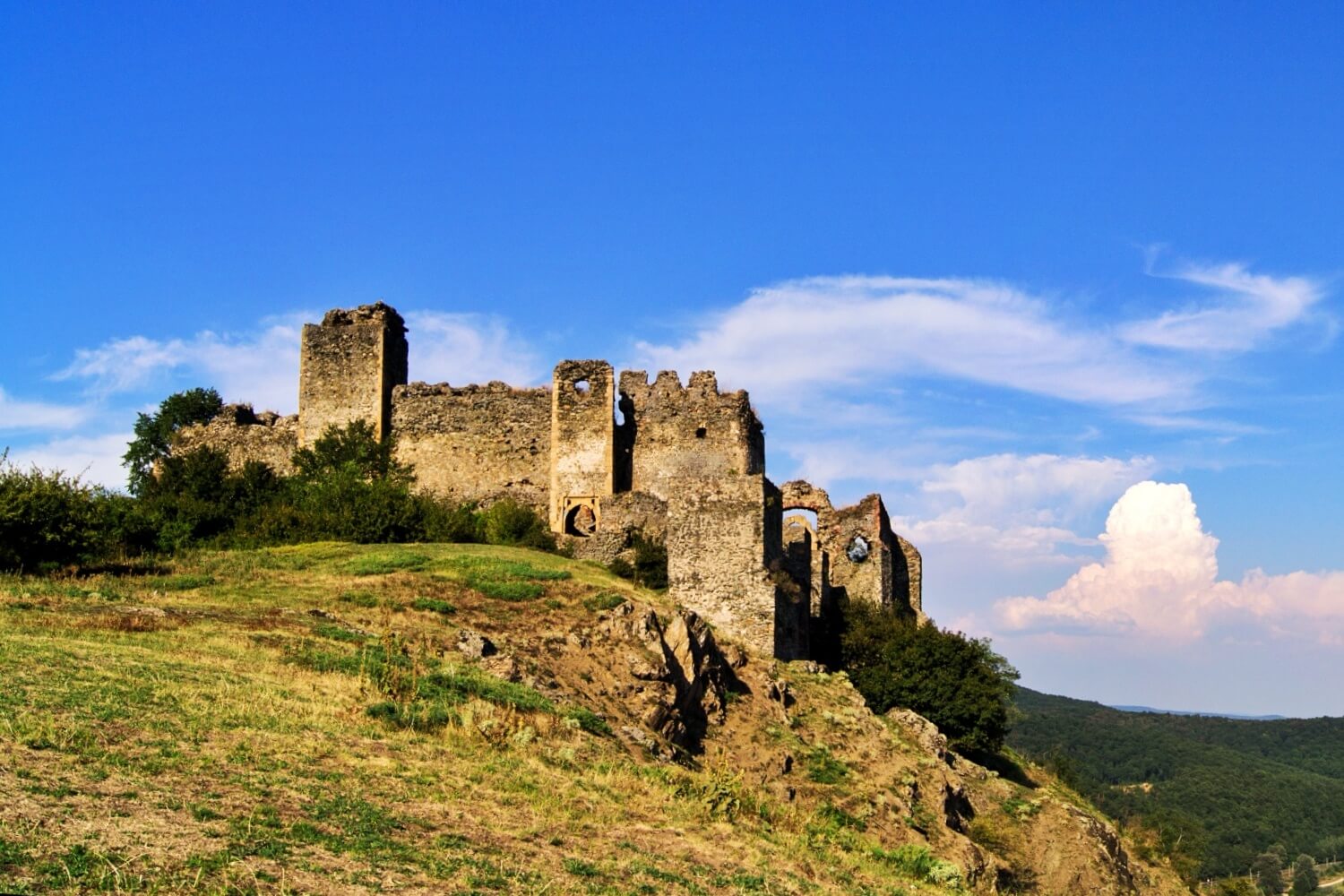 Şoimoş Citadel