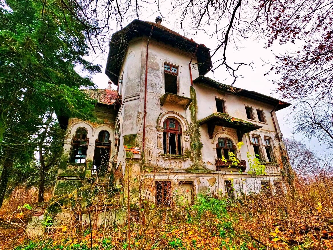 Vlădescu Mansion (Hârtiești)