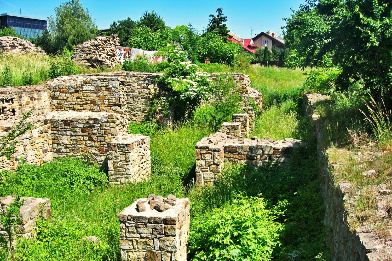 Domnească Court in Suceava