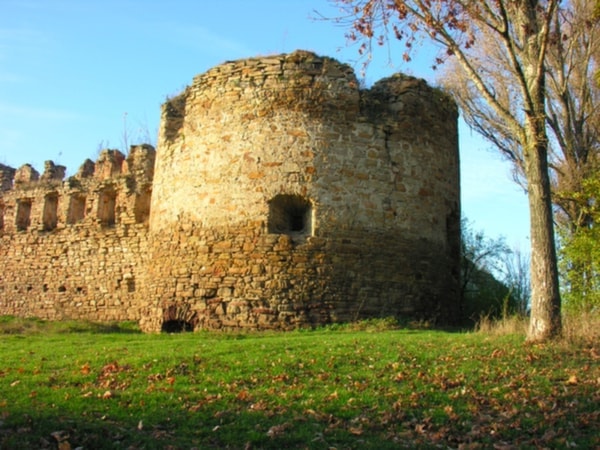 Castle town Mykulyntsi