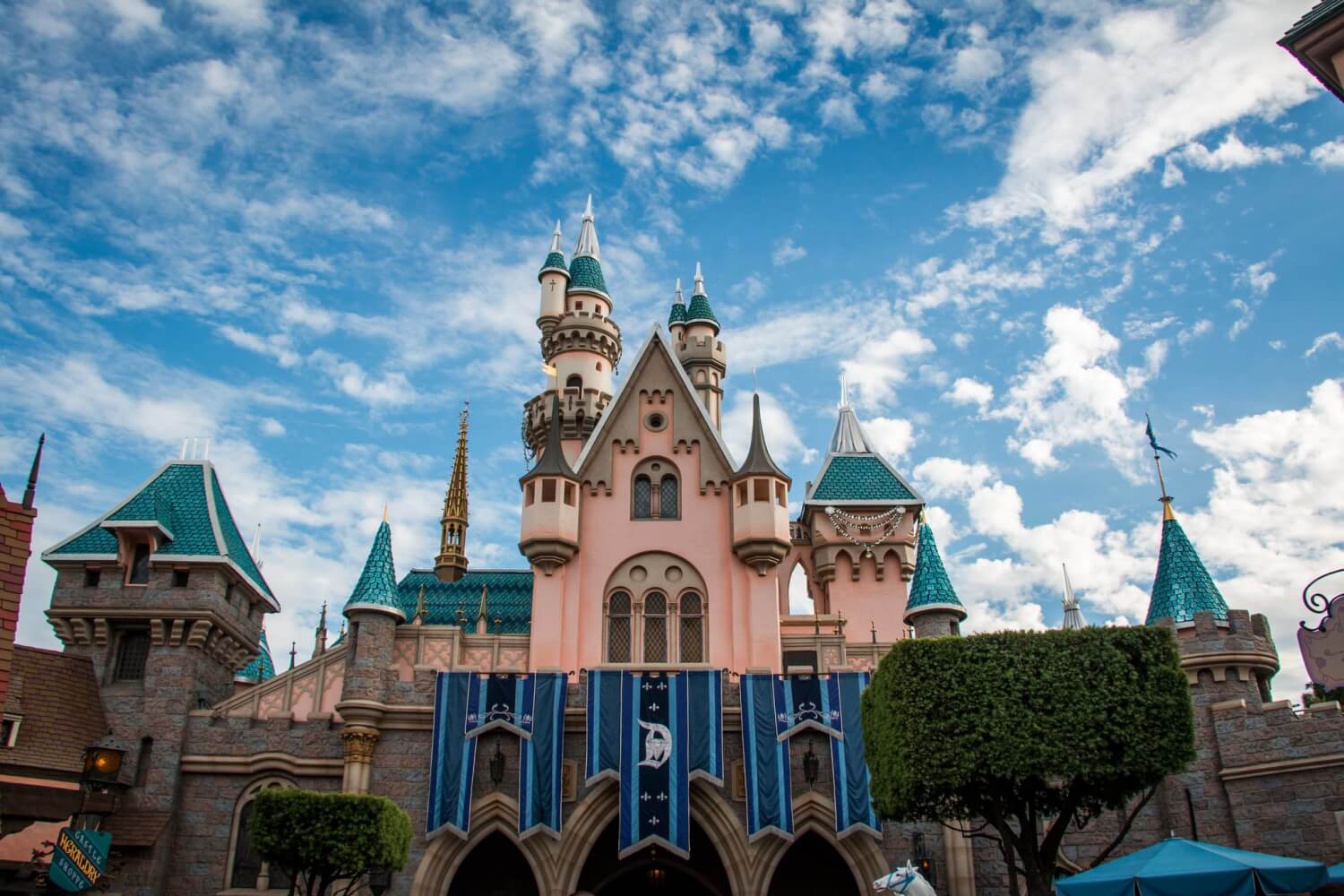 Sleeping Beauty Castle